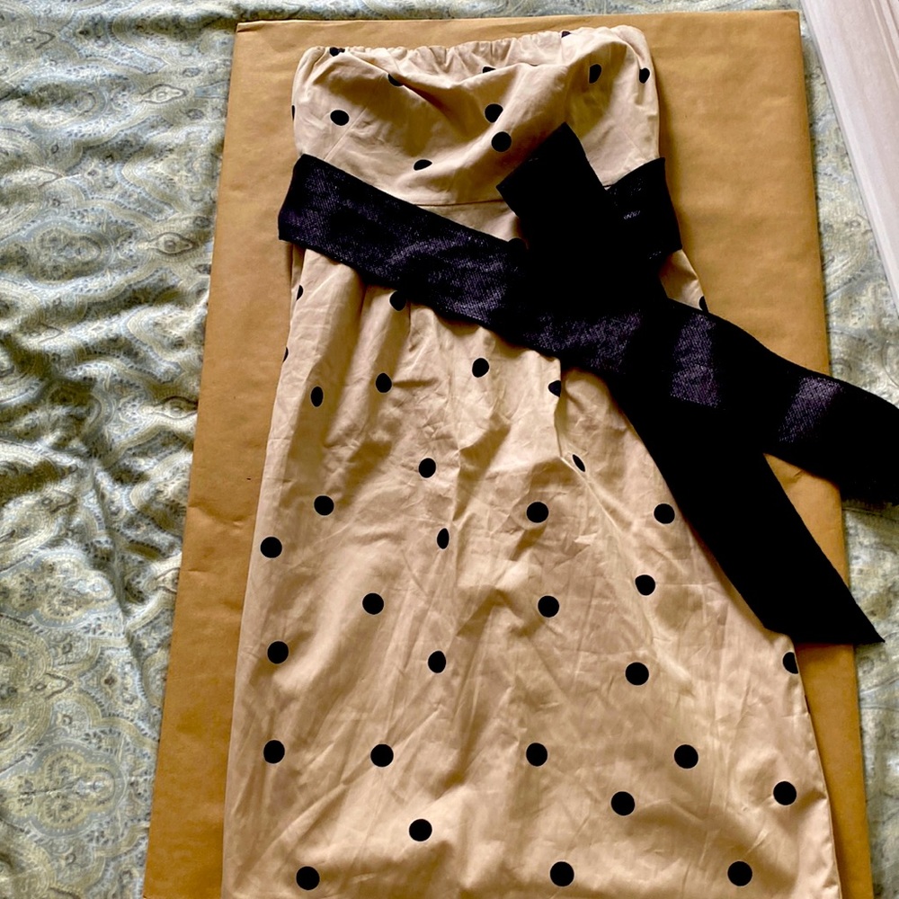 Jcrew polka dot dress with sash